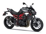kawasaki z900 125 cv performance verde/rojo