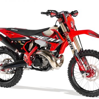 rieju rally 307 (copia)